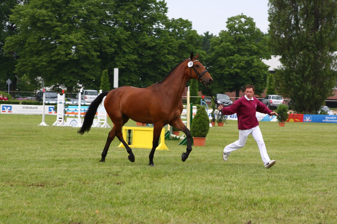 Bild 118 - Elmshorn am 9.6.10